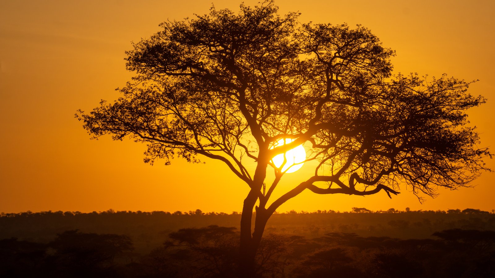 About Ludaliko Tours - Safari Excellence