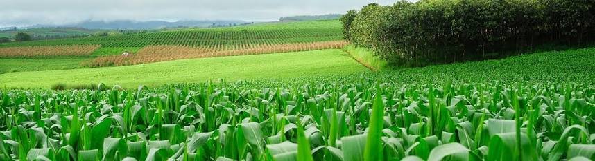 Agro Systems - Sustainable Farming in Tanzania