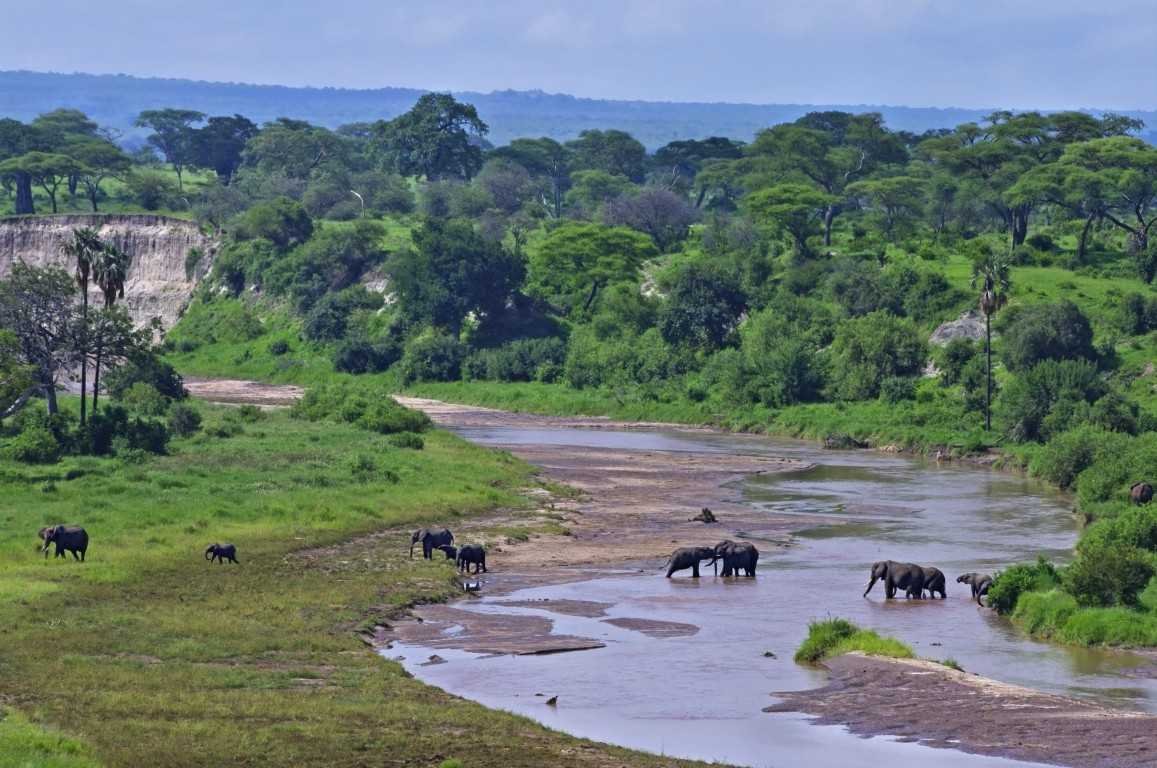 Saadani National Park Safari