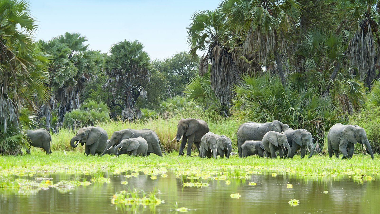 Nyerere National Park - Selous Safari