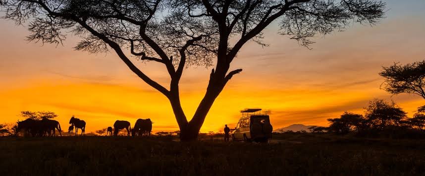 Serengeti National Park Safari