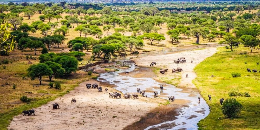 Tarangire National Park Safari