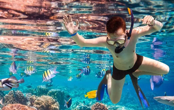 Snorkeling and Diving Zanzibar